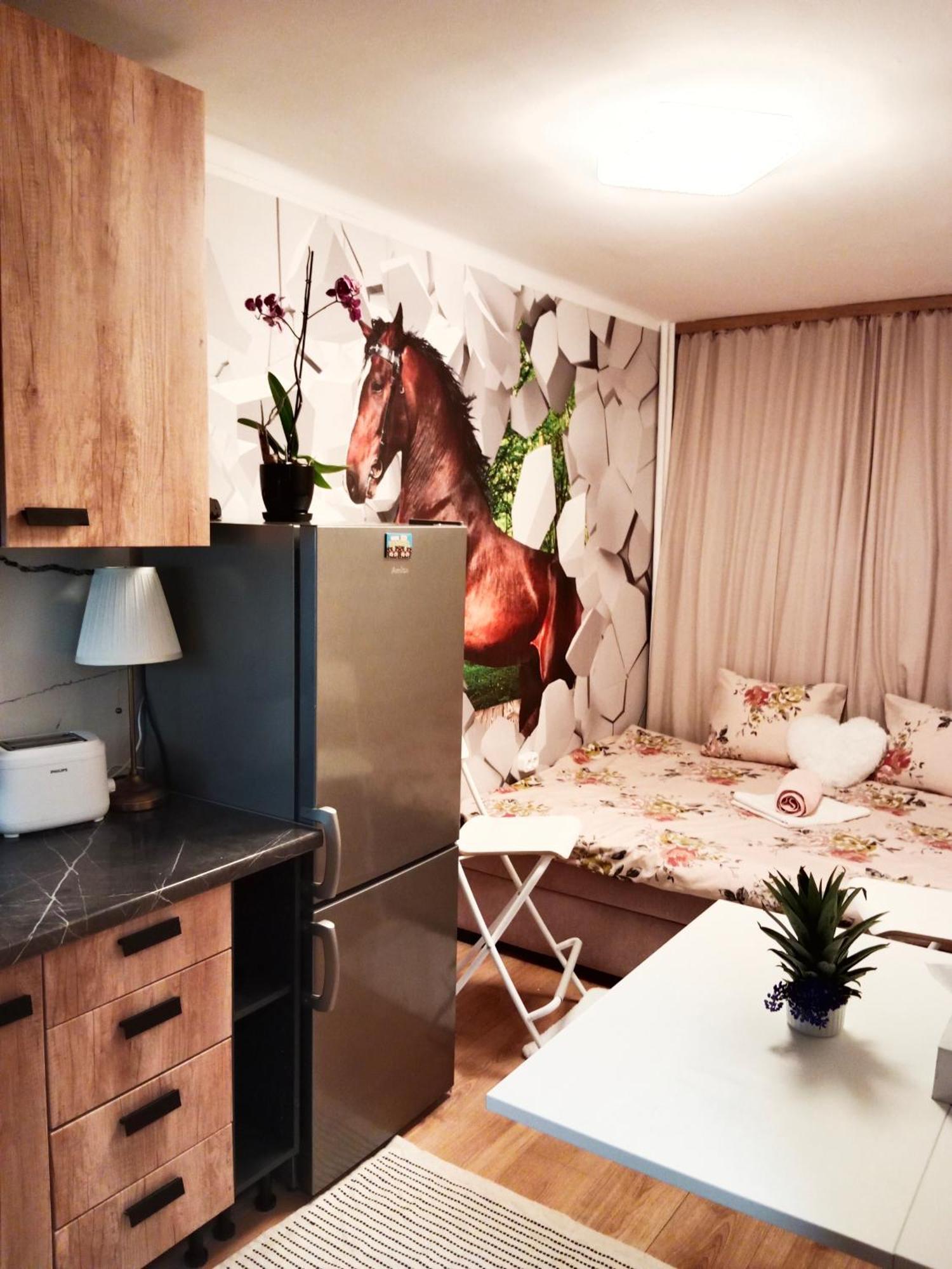 1010 B Centrum Apartament